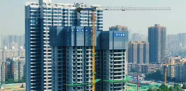 1669771753142058.jpg 200d0ad0cb3fdda885d8d0e21752a36.jpg